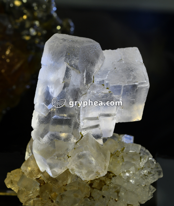 Sylvite et Halite - gryphea.com